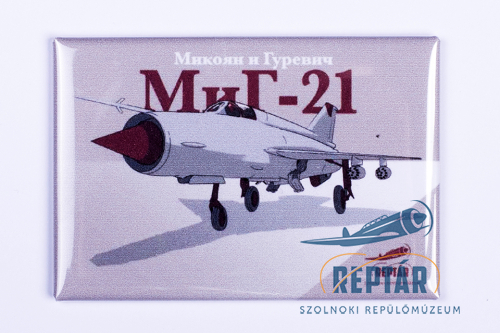 RepTár hűtőmágnes - szögletes, többféle mintával