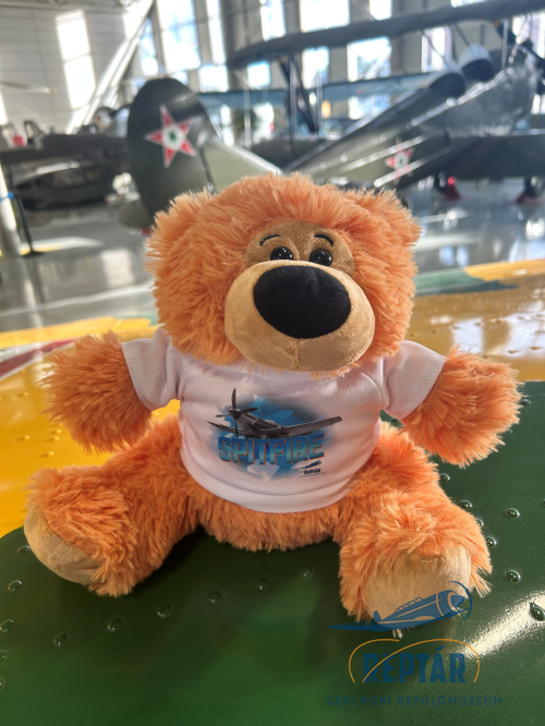 RepTár plüssmackó-  többféle mintával